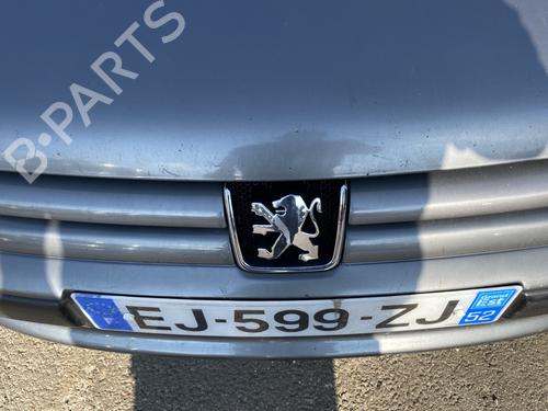 Grille PEUGEOT 406 (8B) 1.8 16V | BP29269882C40 