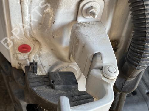 Hinge/Door check strap RENAULT KANGOO Express (FW0/1_) 1.5 dCi 90 (FW0G, FW05, FW08, FW11) | BP22127687C146 