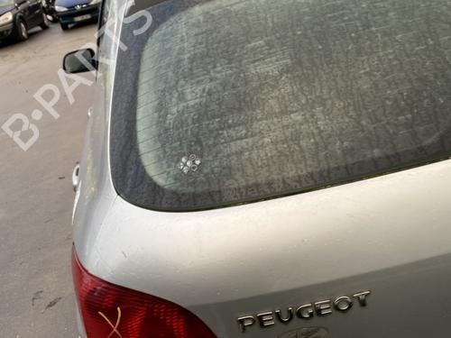 Tailgate PEUGEOT 307 (3A/C) 2.0 HDi 110 | BP22358355C6 