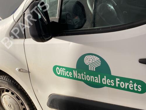 Dør venstre fortil CITROËN BERLINGO MULTISPACE (B9) 1.6 HDi 110 | BP31041475C2