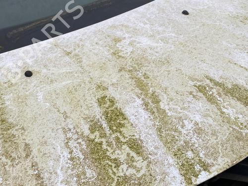 Hood RENAULT CLIO III (BR0/1, CR0/1) 1.5 dCi (C/BR0G, C/BR1G) | BP22536373C1 