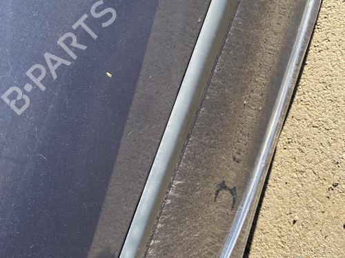 Used Door moulding trim RENAULT CLIO III (BR0/1, CR0/1) 1.5 dCi (BR17, CR17) (86 hp) 28965254