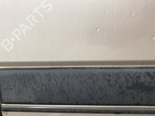 door-moulding-trim-renault-safrane-ii-b54_-1996-1997-1998-1999-2000-32299941 main image