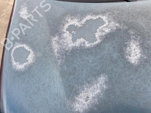 Hood RENAULT KANGOO (KC0/1_) D 65 1.9 (KC0E, KC02, KC0J, KC0N) | BP30133034C1