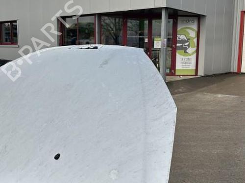 Used Hood Hood 22116190 22116190