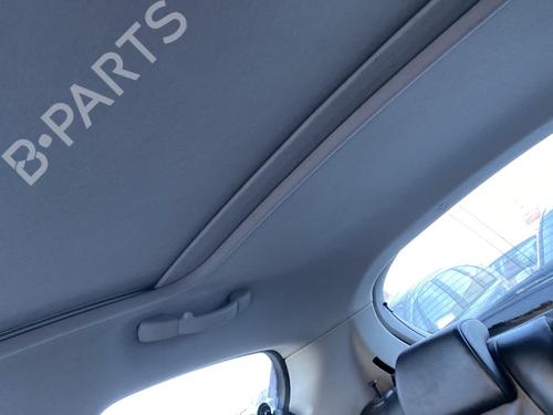 Tecto interior PEUGEOT 207 (WA_, WC_) 1.6 HDi (90 hp) 31719172