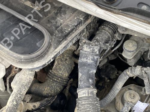 Used Starter PEUGEOT EXPERT Van (VF3A_, VF3U_, VF3X_) 1.6 HDi 90 16V (90 hp) 31024880