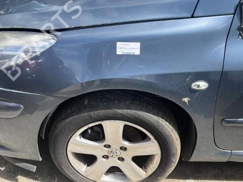 Left front fenders PEUGEOT 307 (3A/C) 1.6 HDi 110 | BP19912992C41