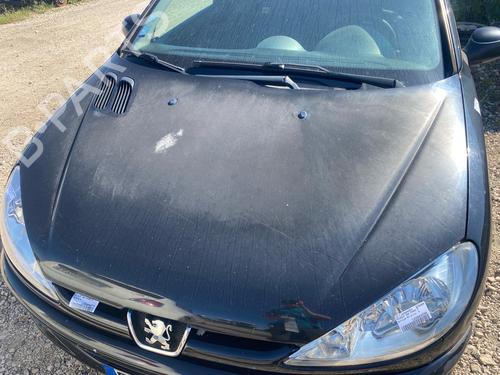 hood-peugeot-206-hatchback-2ac-1998-1999-2000-2001-2002-2003-2004-2005-2006-2007-2008-2009-2010-2011-2012-37008424 main image