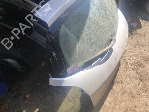 Tailgate RENAULT CLIO III (BR0/1, CR0/1) 1.5 dCi (C/BR0G, C/BR1G) | BP22125472C6 