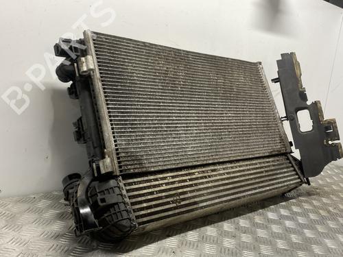 Front slam panel RENAULT LAGUNA III (BT0/1) 1.5 dCi (BT00, BT0A, BT0T, BT1J) | BP28589263C72 