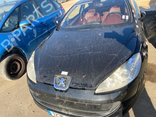 hood-peugeot-407-coupe-6c_-2005-40530334 main image
