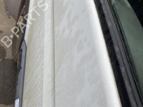 Left front door RENAULT MASTER II Van (FD) 2.5 D (FD0A, FD0E, FD2E, FD3E) | BP29599751C2 