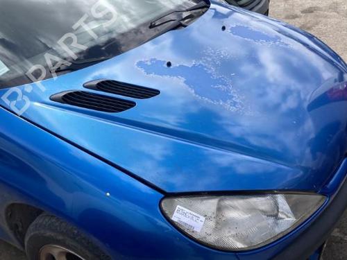 Hood PEUGEOT 206 Hatchback (2A/C)  | BP22121386C1 