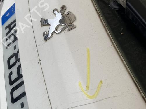 Bagklap CC/Kombi-Coupé Bagklap CC/Kombi-Coupé PEUGEOT 207 (WA_, WC_) 1.4 HDi (68 hp) 29142832 29142832