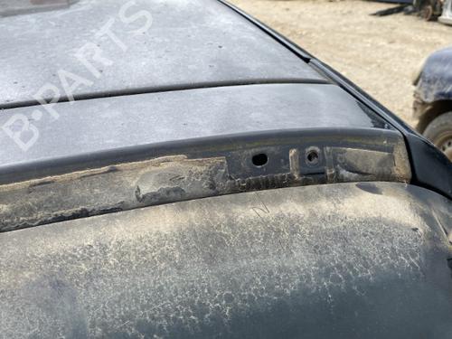 Tailgate RENAULT CLIO III (BR0/1, CR0/1) 1.5 dCi | BP22122684C6