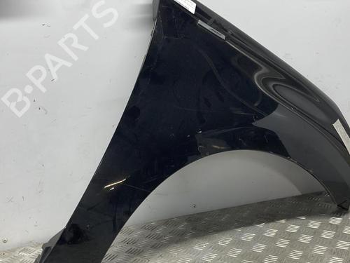Used Right front fenders RENAULT SCÉNIC III (JZ0/1_) 1.5 dCi (106 hp) 19903758