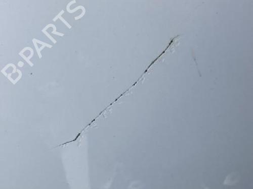 Left front door CITROËN C4 Coupe (LA_) 1.6 HDi | BP22121141C2 