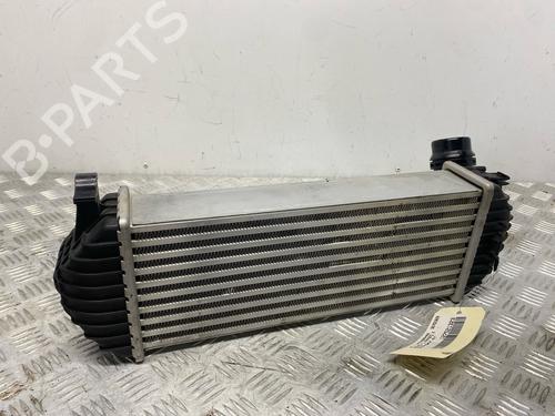 Intercooler RENAULT KANGOO Express (FW0/1_) | BP36427775M30 - Image 6