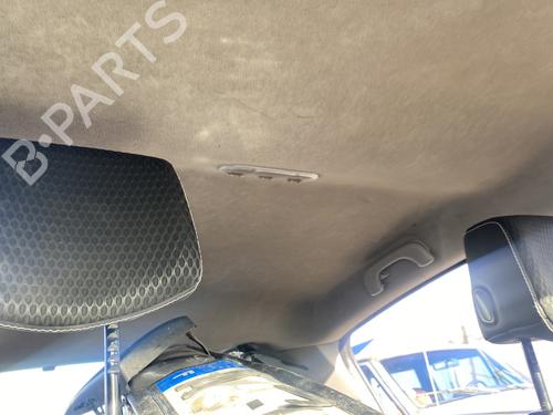 Tecto interior RENAULT CLIO III (BR0/1, CR0/1) 1.5 dCi (C/BR0G, C/BR1G) (68 hp) 32449131