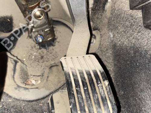 Used Pedal PEUGEOT 206+ (2L_, 2M_) 1.4 HDi eco 70 (68 hp) 29013059