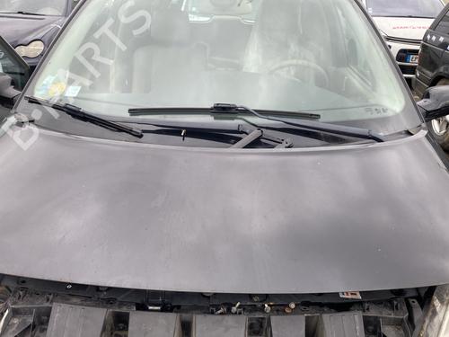 Used Hood RENAULT GRAND SCÉNIC II (JM0/1_) 2.0 dCi (JM1K) (150 hp) 29913655
