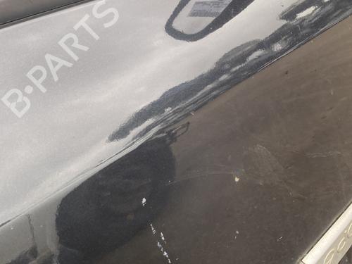 Right front door RENAULT GRAND SCÉNIC II (JM0/1_) 2.0 dCi (JM1K) | BP29913664C3