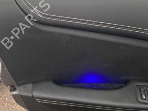 Front left panel RENAULT SCÉNIC IV (J9_) 1.7 Blue dCi 120 (J9A7, J9A8) | BP30517865C58