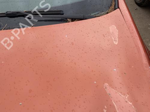Hood RENAULT MEGANE II (BM0/1_, CM0/1_) 1.6 16V (BM0C, CM0C) | BP25270916C1 