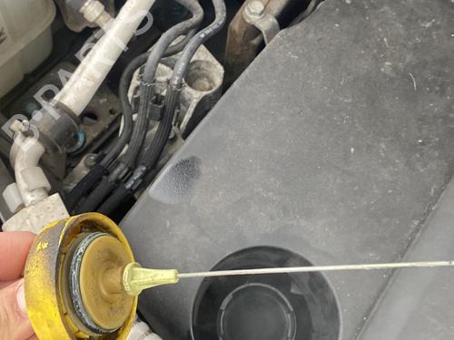 Engine RENAULT KOLEOS I (HY_) 2.0 dCi 4x4 (HY0K) | BP31977629M1 - Image 2