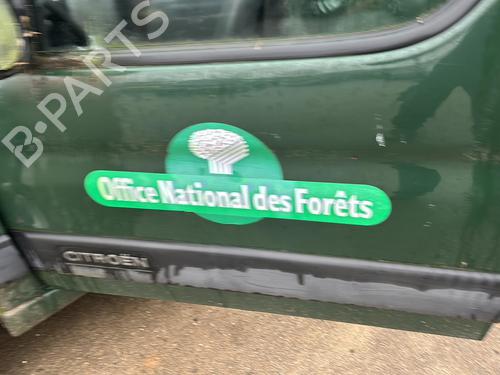 Left front door CITROËN BERLINGO / BERLINGO FIRST Box Body/MPV (M_) 1.6 HDI 75 (MB9HW) | BP22115280C2