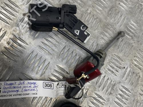 Ignition barrel PEUGEOT 208 I (CA_, CC_) 1.4 HDi | BP27987561M48