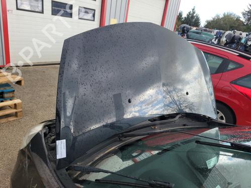 Used Hood RENAULT CLIO III (BR0/1, CR0/1) 1.2 16V (BR02, BR0J, BR11, CR02, CR0J, CR11) (75 hp) 20174273