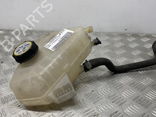 Used Expansion tank FORD FIESTA VI (CB1, CCN) 1.25 (82 hp) 29406885