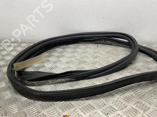 Gummiliste RENAULT MEGANE IV Hatchback (B9A/M/N_) 1.2 TCe 130 (B9MR) | BP31707312C142