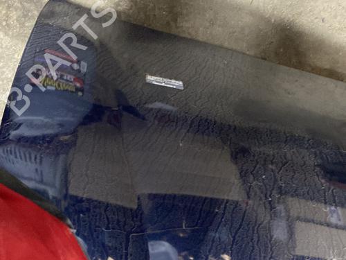 Hood VW GOLF V (1K1) 1.9 TDI | BP22113596C1 