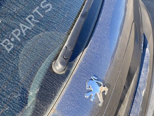 Viskermotor bagrude PEUGEOT 207 (WA_, WC_) 1.6 HDi | BP29599706M102 