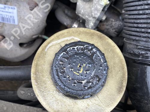 Used Power steering reservoir DACIA LOGAN (LS_) 1.6 (LS0B, LS0D, LS0F, LS0H) (87 hp) 33054488