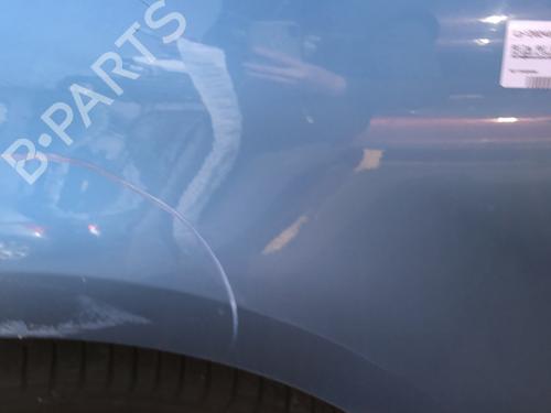 Forkjerm venstre CITROËN C4 Picasso I MPV (UD_) 1.6 HDi | BP22127424C41 