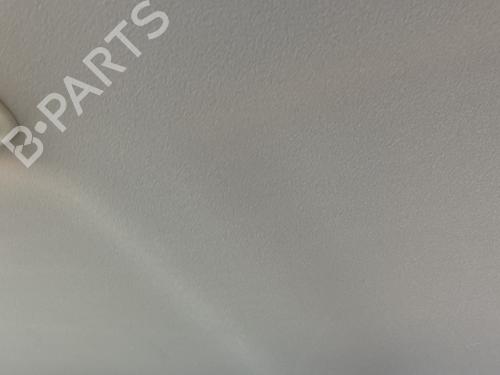 Interior roof RENAULT SAFRANE II (B54_) 2.9 24V (B54N) | BP32299976I12