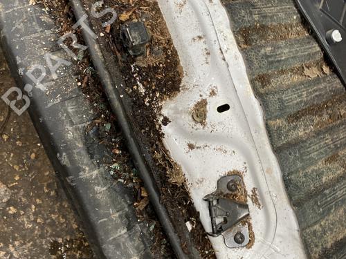 Gummiliste RENAULT KANGOO Express (FW0/1_) 1.5 dCi 90 (FW0G, FW05, FW08, FW11) | BP25214824C142 - Image 5