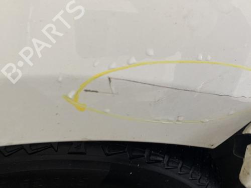 Używane Błotnik przedni prawy RENAULT MEGANE III Hatchback (BZ0/1_, B3_) 1.5 dCi (BZ09, BZ0D, BZ1W, BZ29, BZ14) (110 hp) 30462550