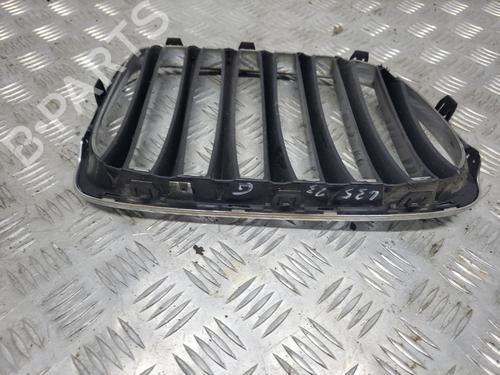 Used Grille BMW X1 (E84) xDrive 20 d (184 hp) 21063037