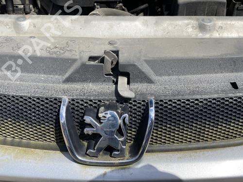 Grille PEUGEOT 406 (8B) 1.8 16V | BP25132060C40 