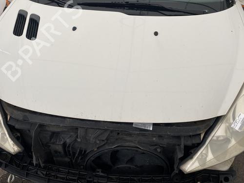 Used Hood PEUGEOT 206+ (2L_, 2M_) 1.4 HDi eco 70 (68 hp) 29013031