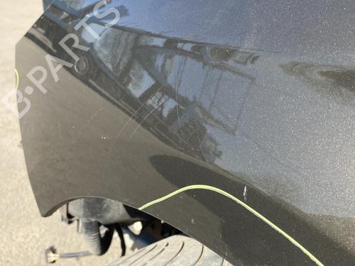 Left front fenders CITROËN C4 II (NC_) 1.6 VTi 120 (NC5FS0, NC5FS9) | BP24950485C41