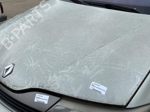 Used Hood RENAULT LAGUNA II Grandtour (KG0/1_) 1.9 dCi (KG0G) (120 hp) 25333141