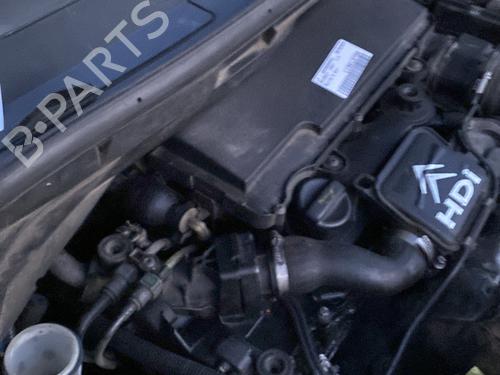 Used Injector PEUGEOT 1007 (KM_) 1.4 HDi (68 hp) 31815668