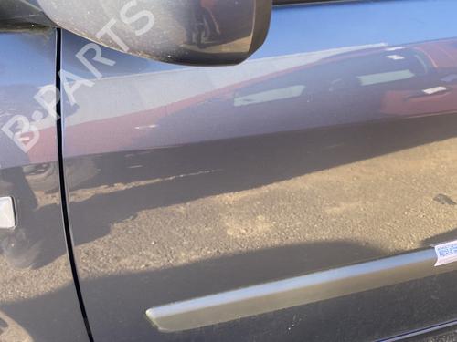 Left front door RENAULT SCÉNIC II (JM0/1_) 2.0 dCi (JM1K) | BP29012977C2 
