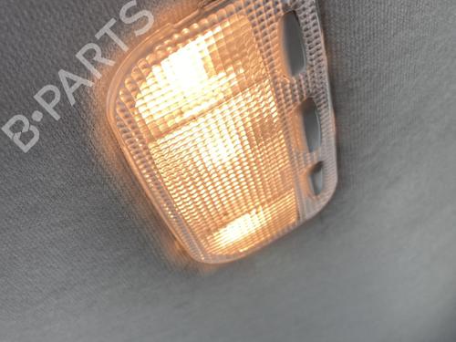 Used Interior roof light CITROËN C3 I (FC_, FN_) 1.4 HDi (68 hp) 22358237
